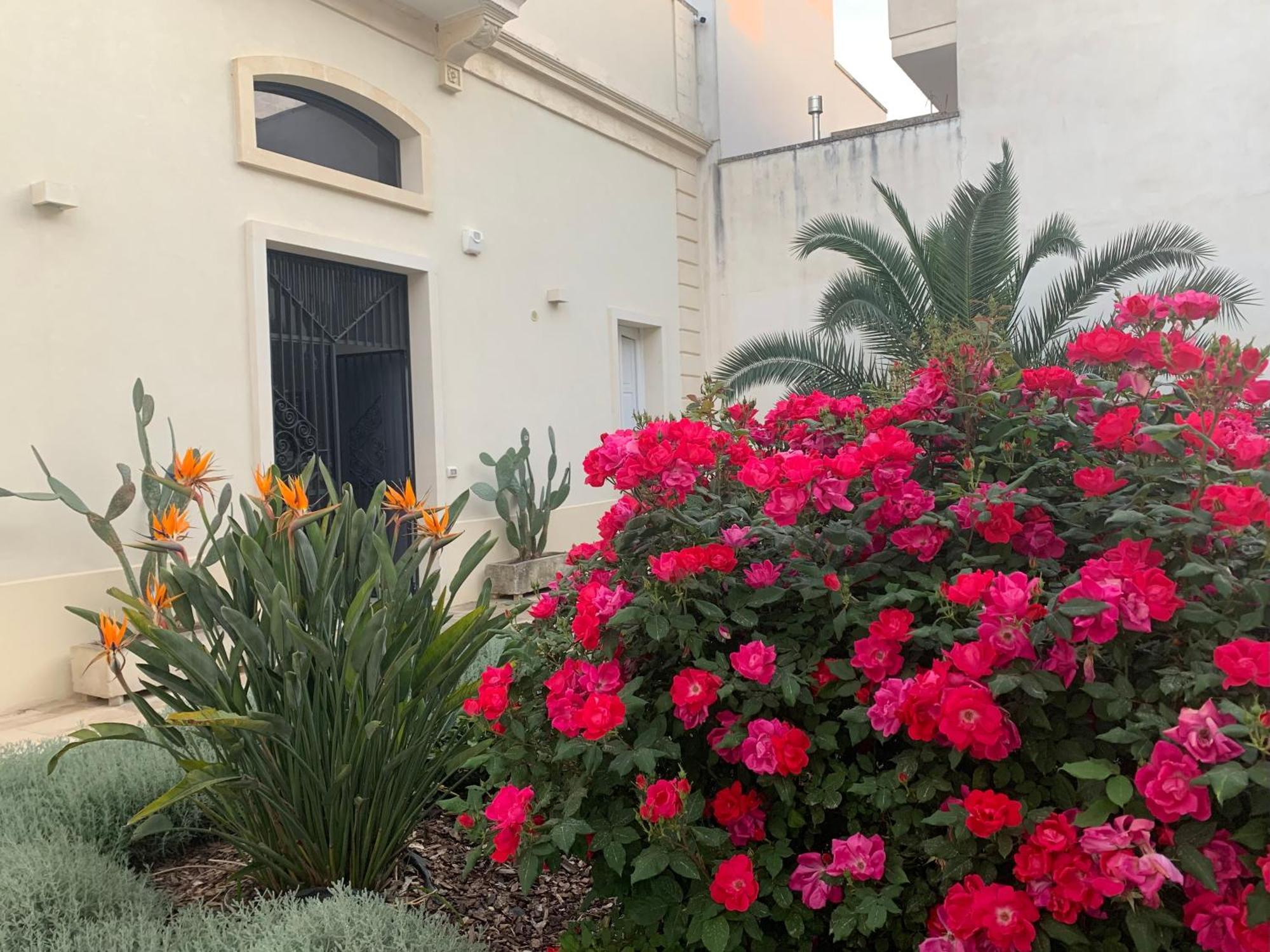 B&B Don Alessandro Surbo Luaran gambar